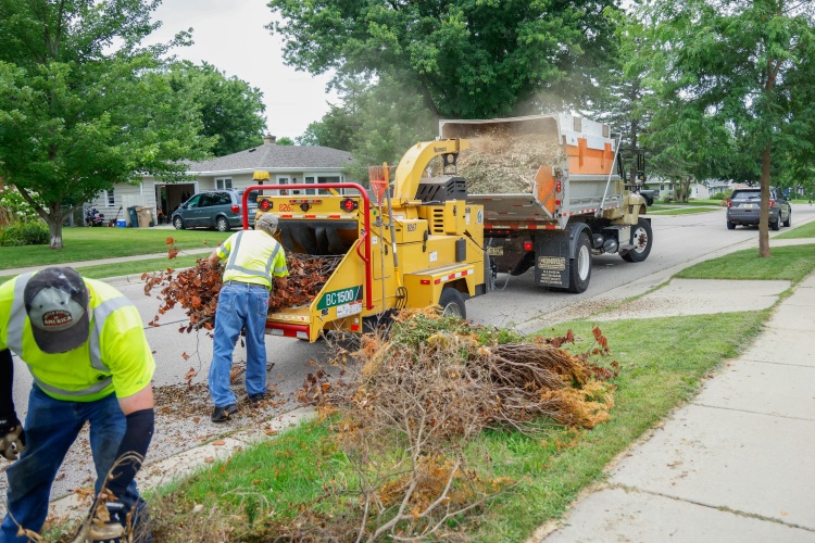 Crews collecting brush by hand