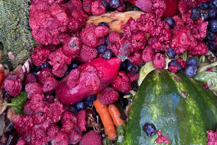 Food scraps collected for composting.  This is very colorful. Red cauliflower. Green watermelon rinds. Broccoli. Oranges and carrots. 
