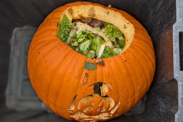 It's a pumpkin filled with lettuce.