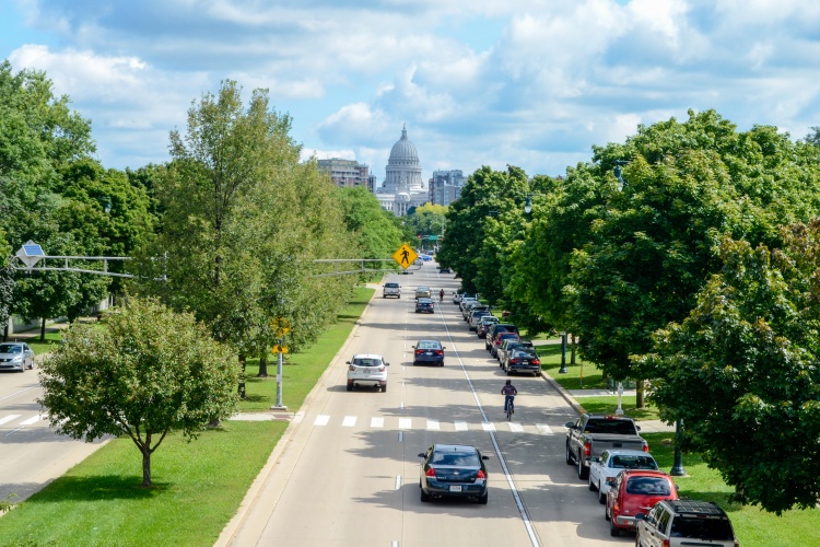 View of the capitol down a tree-lined street.