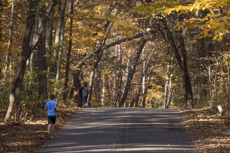 Arboretum in Fall