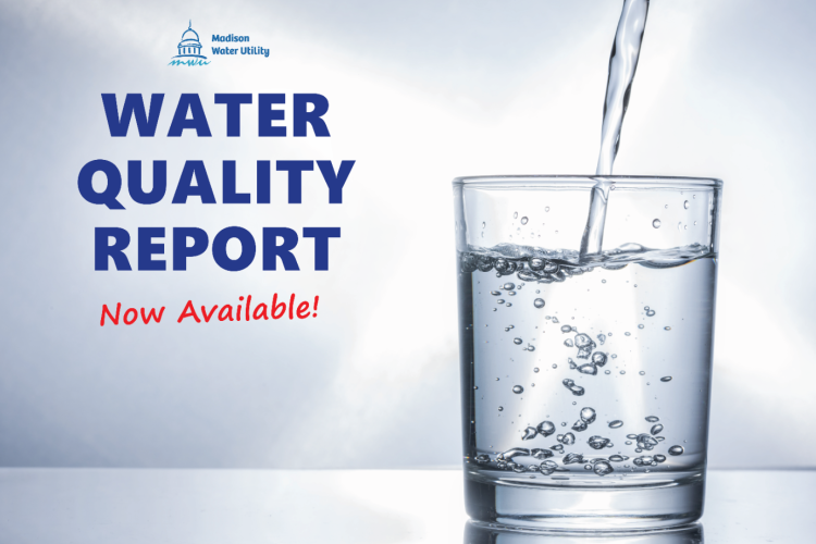 latest annual water quality report now available 