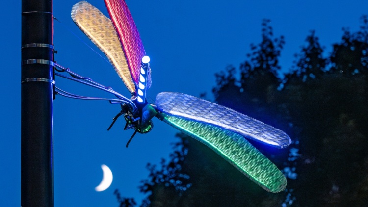 Dragon fly sculpture illuminated at twilight in front of a crescent moon in the sky