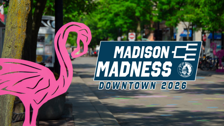 Madison Madness logo on top of a view down State Street with pink flamingo sculptures