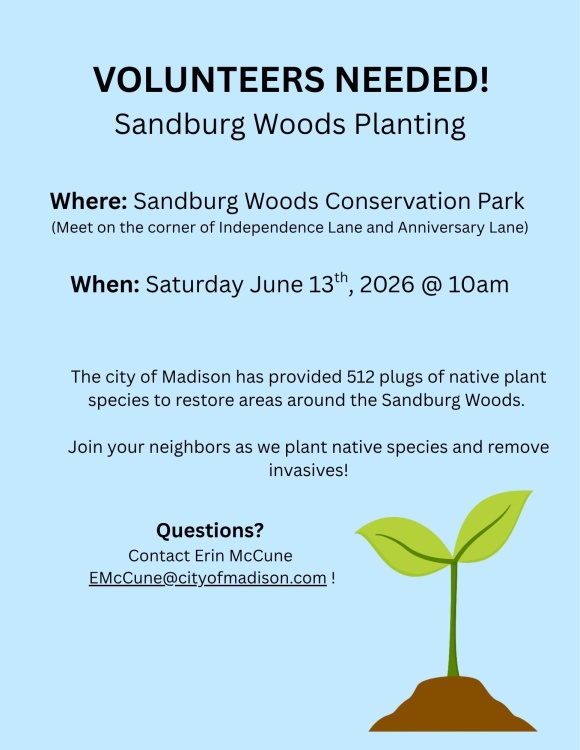 Volunteer at Sandburg Park
