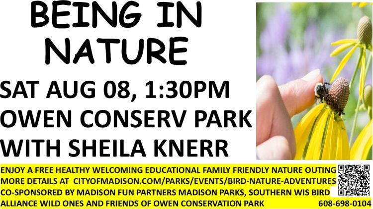Aug 8 Owen Park walk with a naturalist