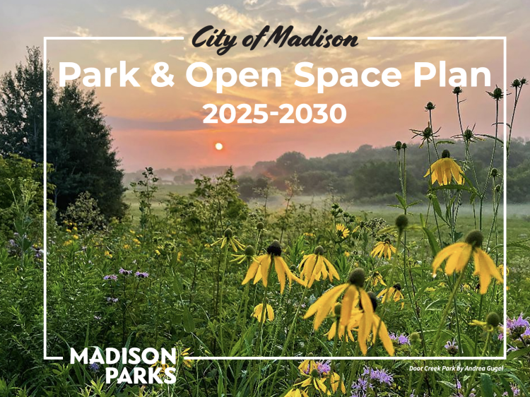 Parks and Open Spaces Plan cover