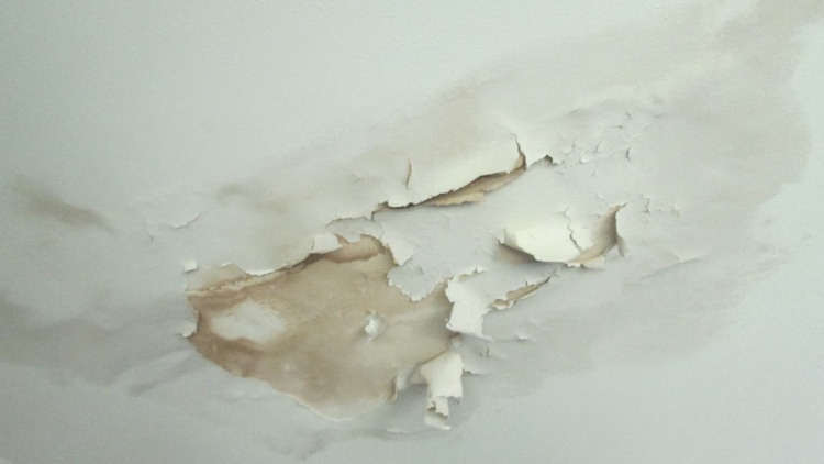 Ceiling water damage