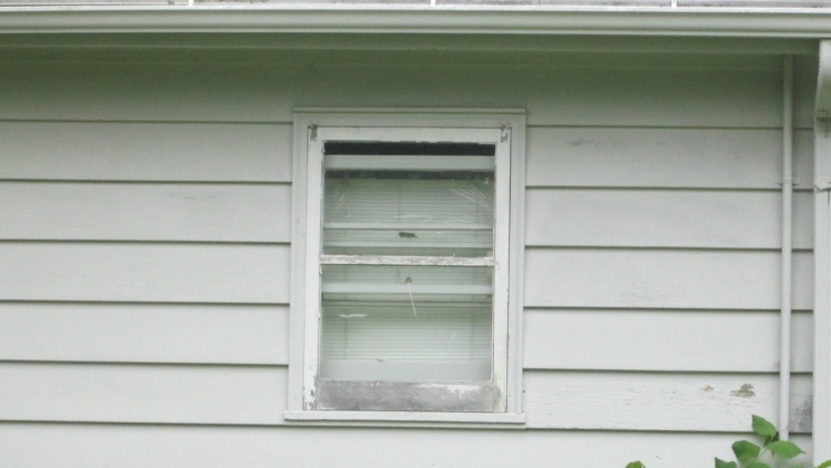 Window exterior