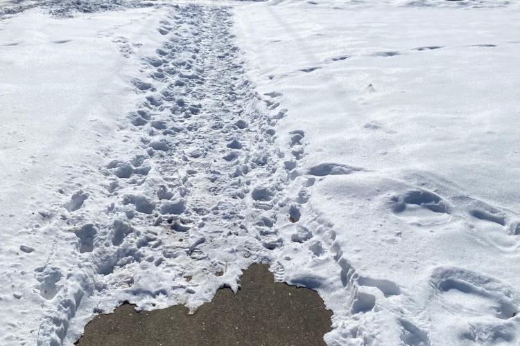 A patch of snow-covered sidewalk with footprints in the snow