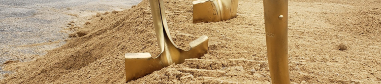 Gold shovels sticking out of a mound of dirt.