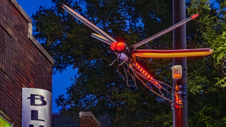 Dragon fly sculpture illuminated with bright colored lights at night along Gilman Street