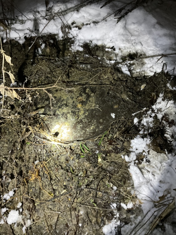 Ground Surface around Sanitary Sewer Overflow