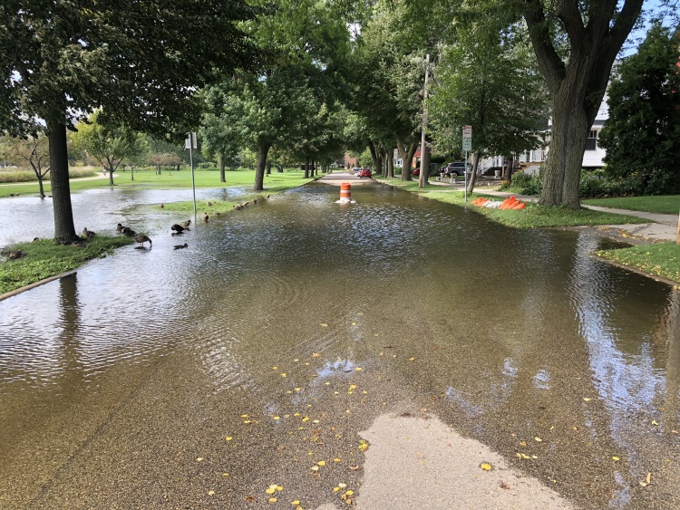 urban flash flooding example