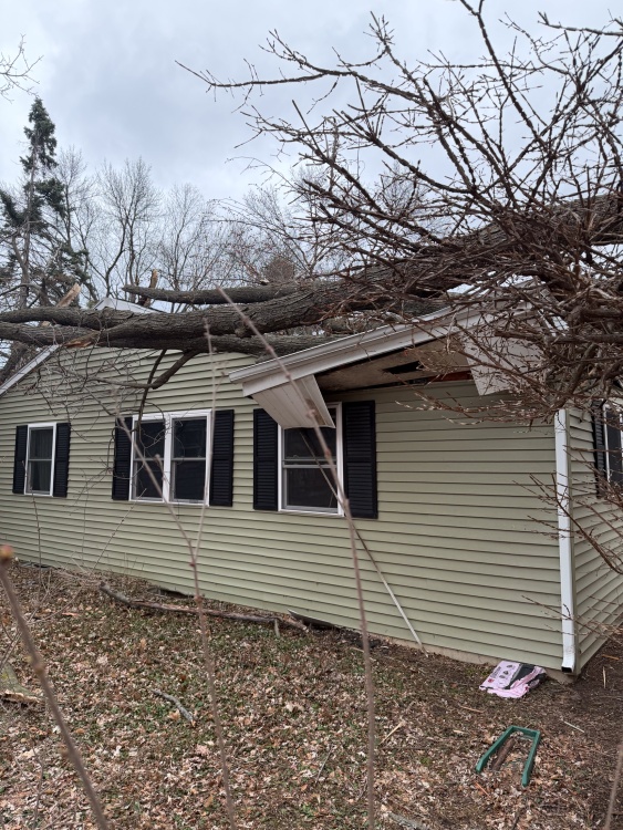 side view of the house with a tree resting on the roof