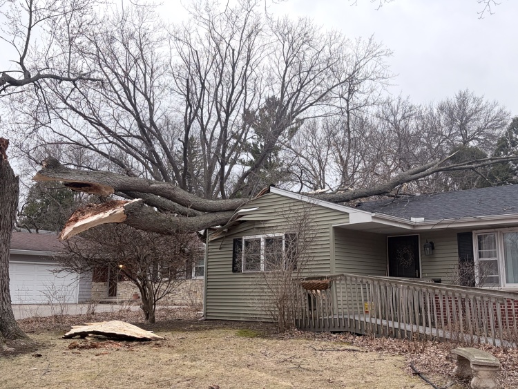 A large tree rests on the roof of a house with damage to the front corner of the house