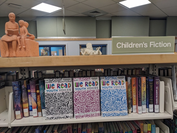 WE READ Youth Voices Anthologies lined up in libraries