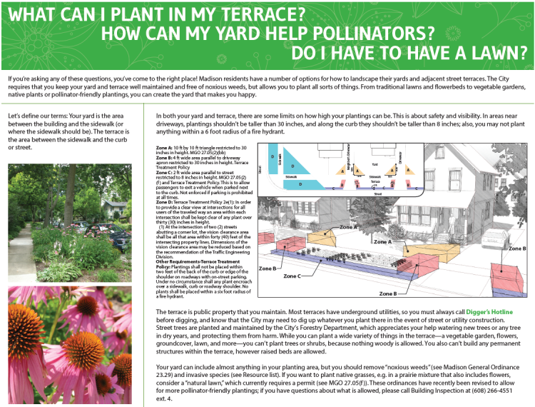 picture of City of Madison terrace plantings brochure