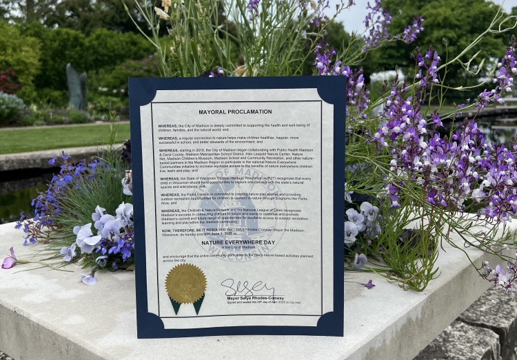 Mayoral proclamation next to flowers