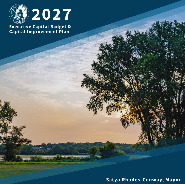 The sunsetting at a City Park with a large tree in the foreground