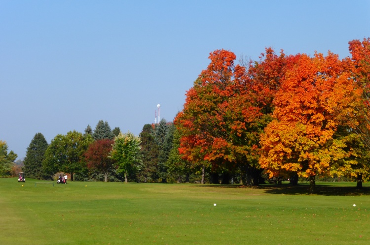Golf course in fall colors