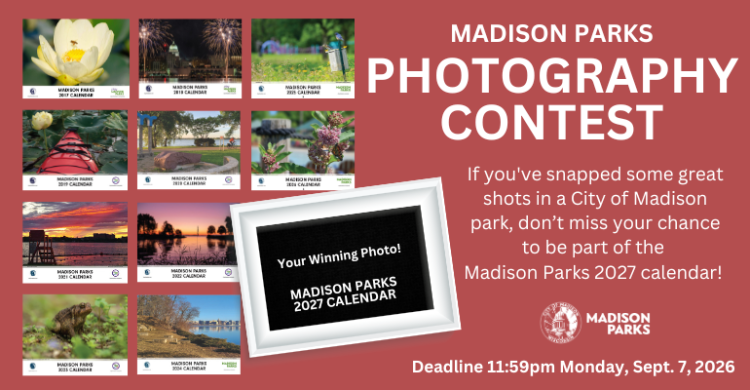 photography contest promotional