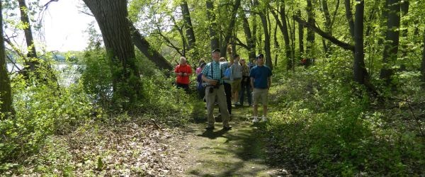 people in forest looking up at nature and birds