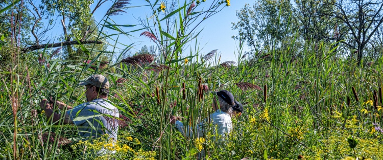 people standing and working in park meadow