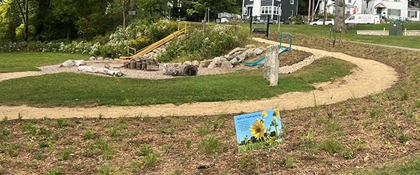 nature play area at olbrich park