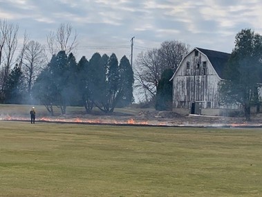 burning of natural area