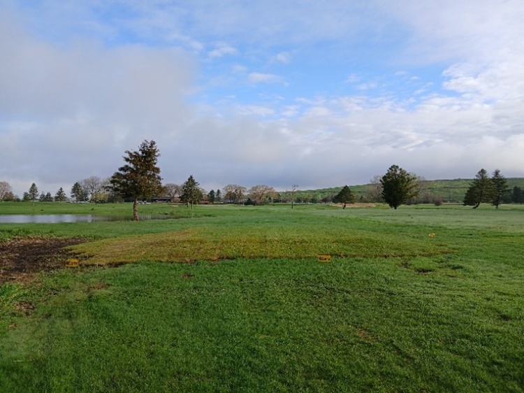 new tee box on hole 9