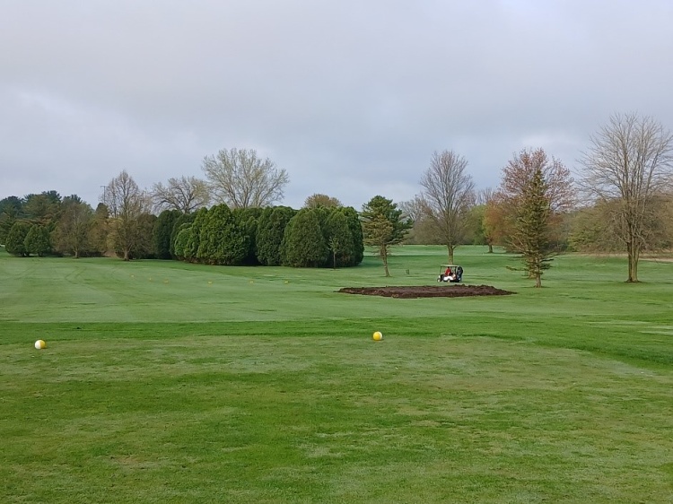 new forward tee grading