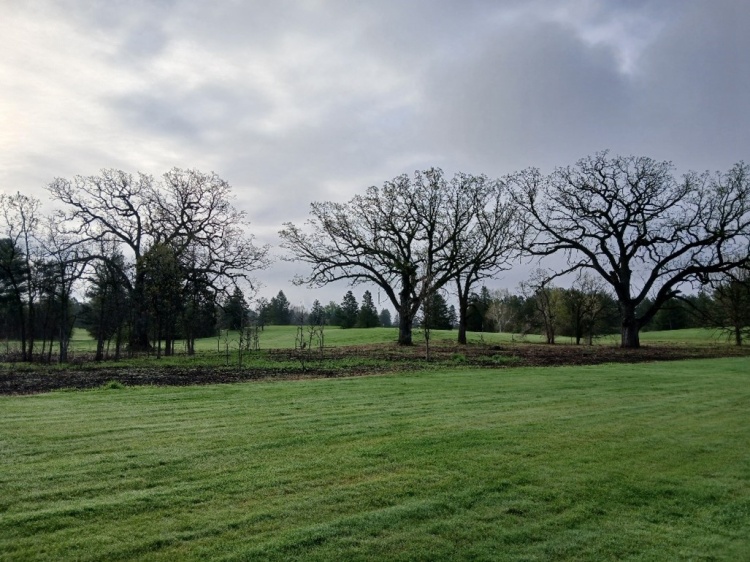 ecological restoration area