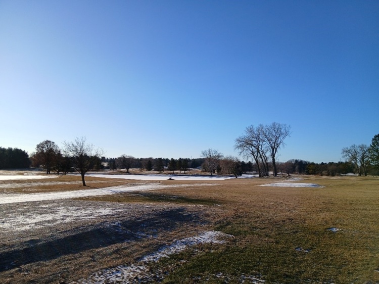 photo of golf course and trees