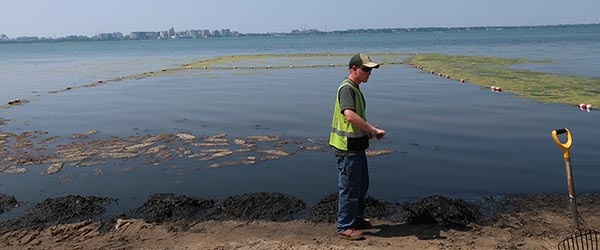 person standing in water with tool cleaning beach
