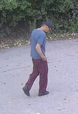 Photograph of Roy Fleming