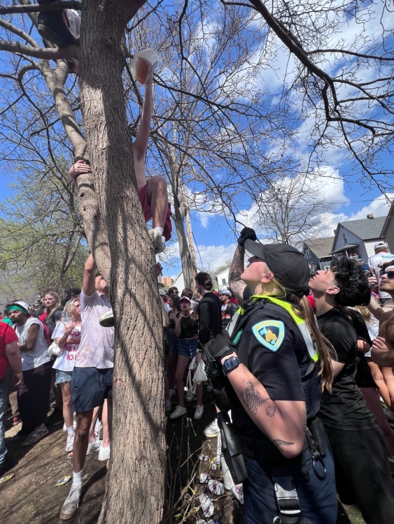 Mifflin attendees climb tree during annual block party.