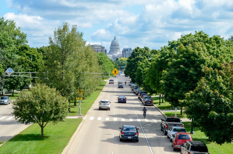 View of the capitol down a tree-lined street.