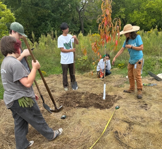 Youth learning about how far roots can grow while standing around a newly planted tree