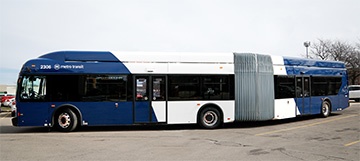 articulated buses