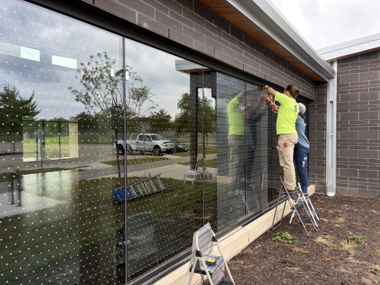 installing bird collision prevention window dots
