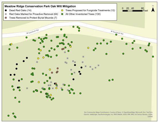 Map of Meadow Ridge Park with trees identified for mitigation