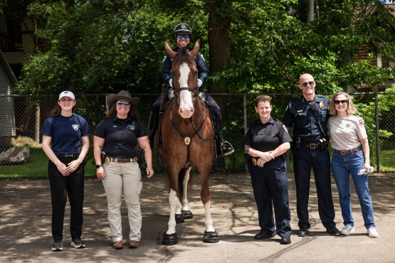 Buckets a horse on the Mounted Patrol Unit earns his badge.