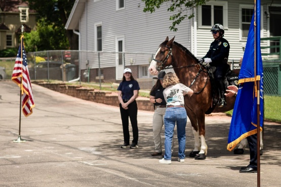 Buckets a horse on the mounted patrol unit is pinned with his badge.