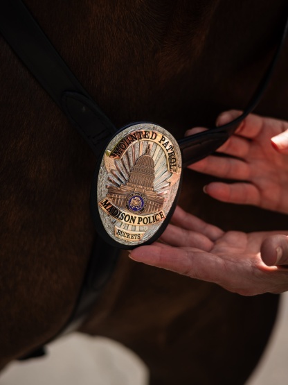 Buckets a horse on the mounted patrol unit earns his golden police badge.