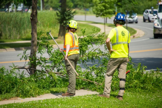 City crews clearing tree damage