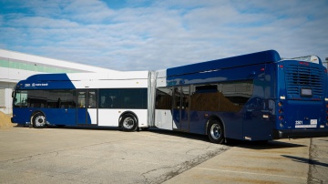 metro articulated blue buses 