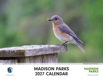 2026 Madison Parks calendar cover - milkweed with a monarch butterfly