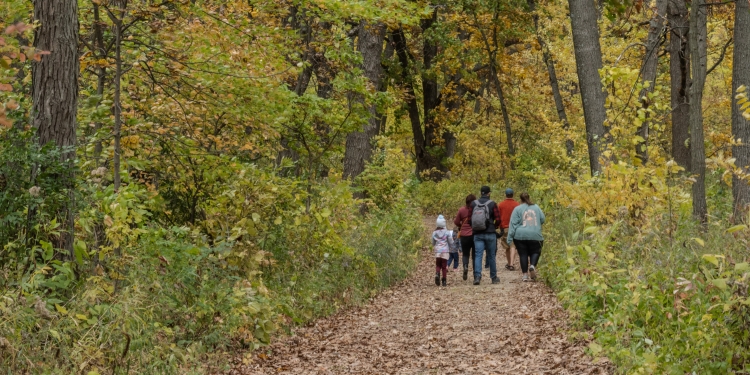 adults and children walking in a woodsy park along the dirt path