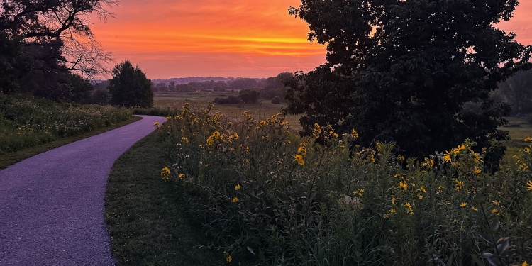 Sunrise and a paved park path at Door Creek Park. 